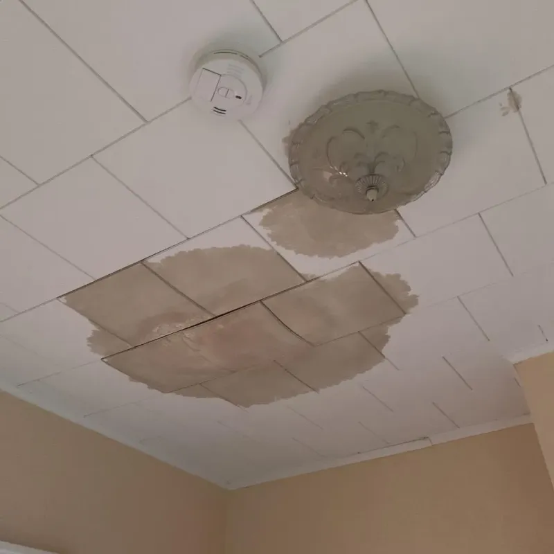Ceiling Water Damage Repair in The Pinery, CO