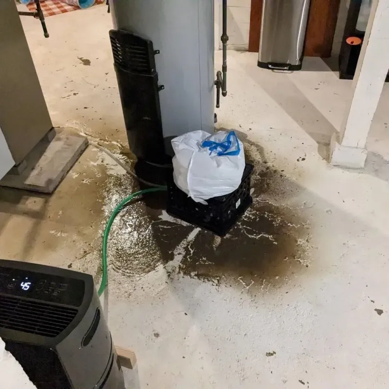 Sewage Backup Cleanup Service in The Pinery, CO